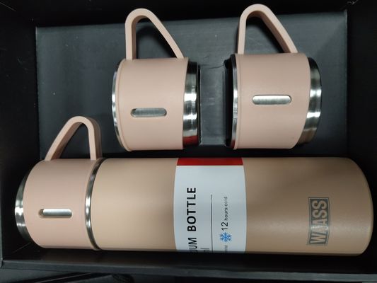 Flaschetto aspirapolvere 500ml regalo d'affari Tazza da viaggio Tazza a doppia parete Bottiglia in acciaio inossidabile