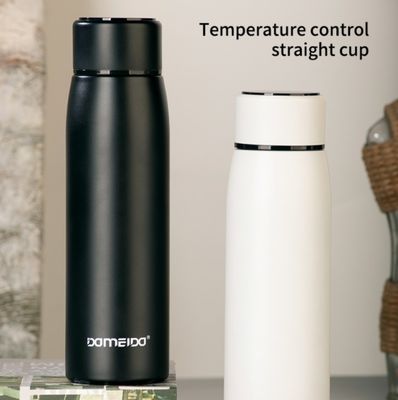Godetevi la bevanda intelligente con una bottiglia d'acqua in acciaio inossidabile a design moderno