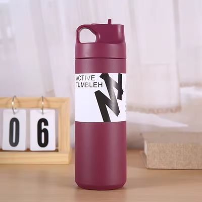 Logo personalizzato Bottiglia d'acqua in acciaio inossidabile da 550 ml Termo vuoto Tazza creativa per lo sport
