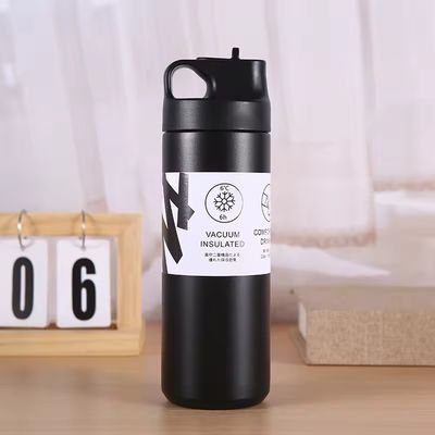 Bottiglia di acqua calda e fredda isolante 550ml Capacità Acciaio inossidabile interno Capo di paglia