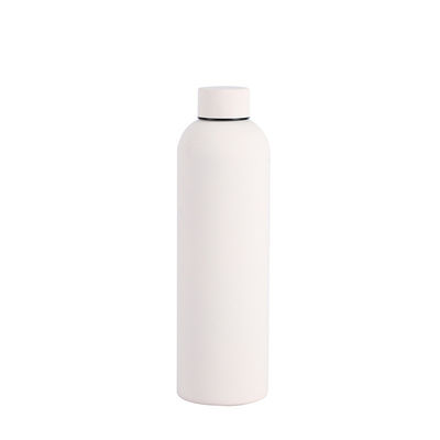 Disegno minimalista 750ml/1000ml Doppia parete Acciaio inossidabile Sport Bottiglia d'acqua per campeggio