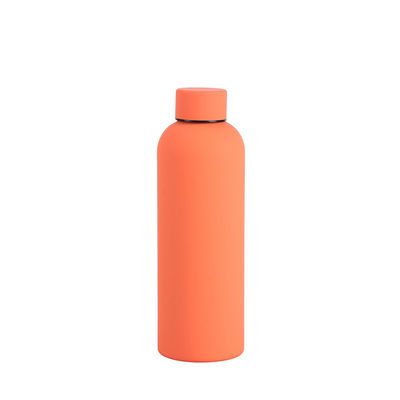 Disegno minimalista 750ml/1000ml Doppia parete Acciaio inossidabile Sport Bottiglia d'acqua per campeggio
