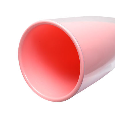 Colorata tazza di caffè trasparente riutilizzabile senza BPA con doppia parete e paglia dritta