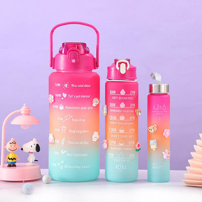 Logo personalizzato accettabile immagazzinato bottiglia d'acqua motivazionale 3 in 1 per attività all'aria aperta