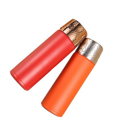 Fornitura diretta 480ml Acciaio inossidabile Isolato Bottolina di acqua termica per bevande calde e fredde