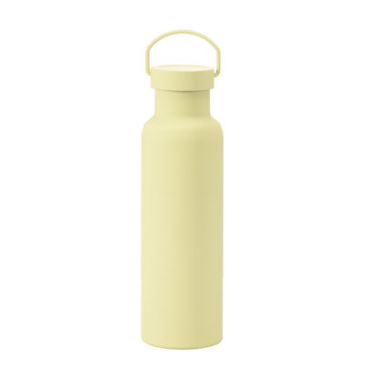 Classico stile di design Acciaio inossidabile Isolata bottiglia d'acqua con maniglia Eco-friendly