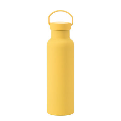 Classico stile di design Acciaio inossidabile Isolata bottiglia d'acqua con maniglia Eco-friendly